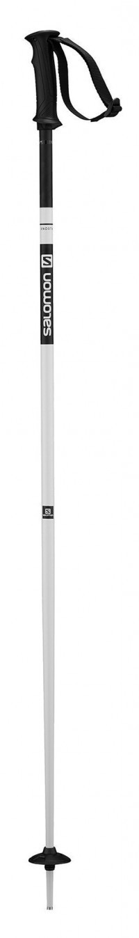 Палки горнолыжные Salomon X North white (2020) Палки горнолыжные Salomon X North white (2020)