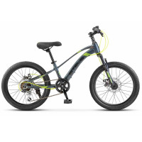 Велосипед Stels Leader-230 MD 20 Z010 серый/черный рама: 10" (2024)